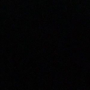 Meet your Posher, Shirley